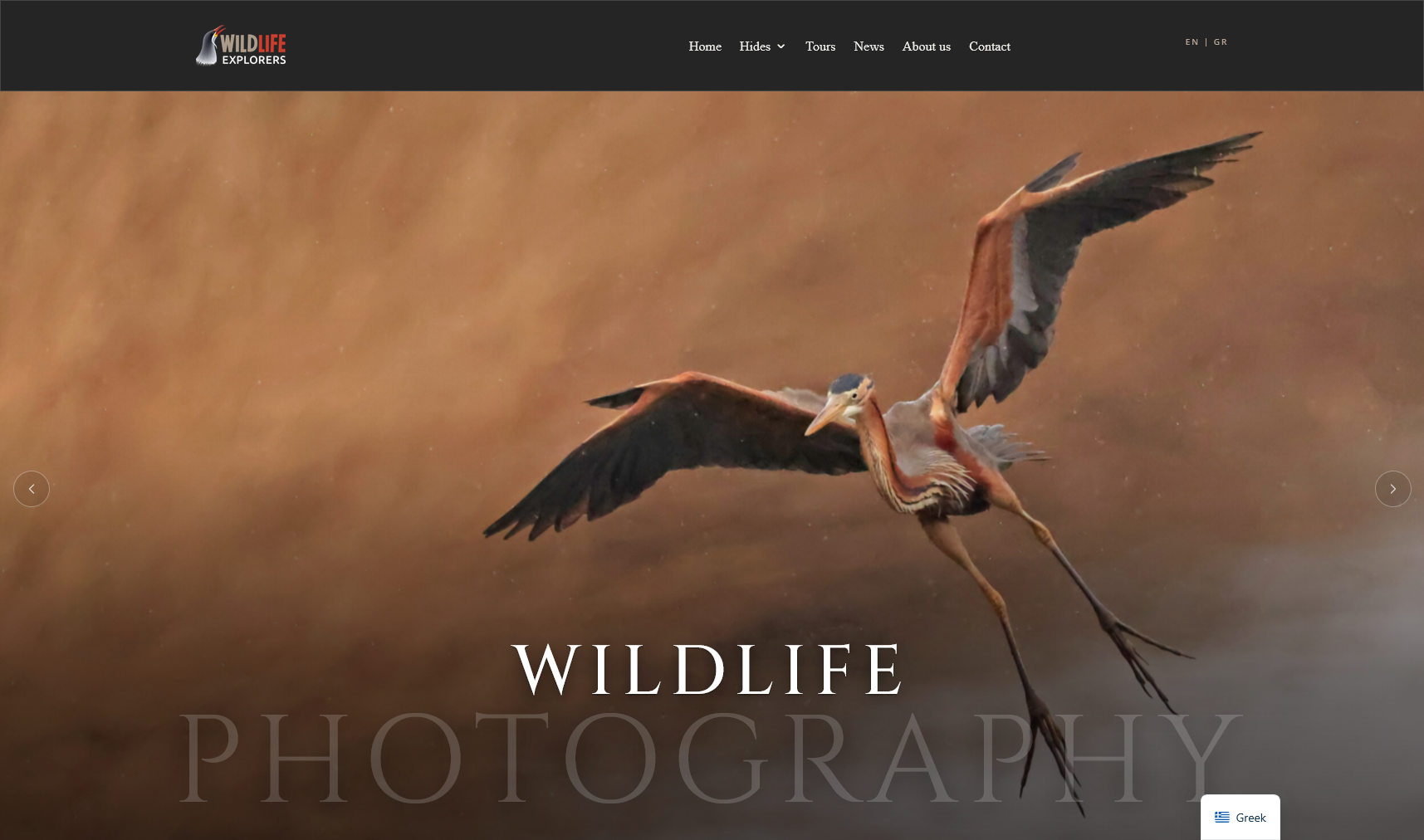 Screenshot 2026-07-02 at 12-23-28 Wildlife Explorers Capture the Wild Beauty of Greece